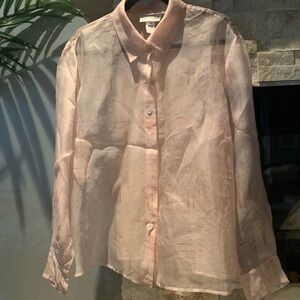 Sheer ๐ฏ silk Button-Up Blouse